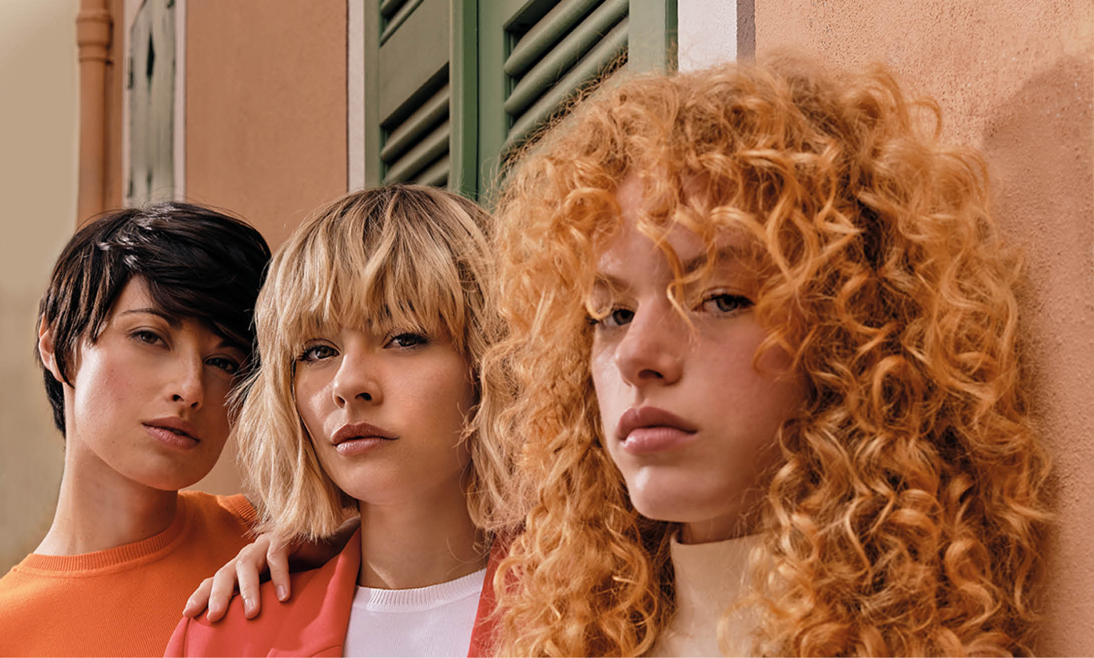 Découvrez la nouvelle collection